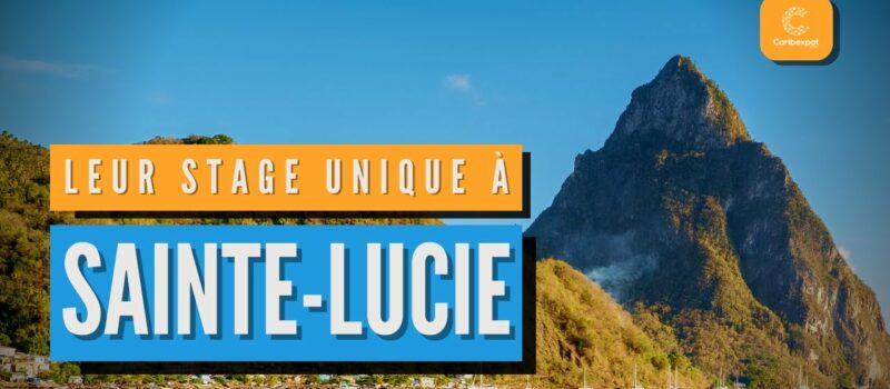 STAGE DES BAC PRO MCV A SAINTE LUCIE