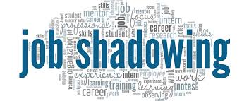 RESTITUTION JOB SHADOWING DES ENSEIGNANTS