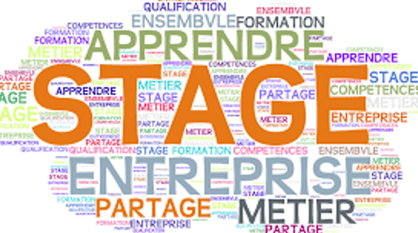 LES ELEVES DU BACPRO MCV EN STAGE A SAINTE LUCIE.