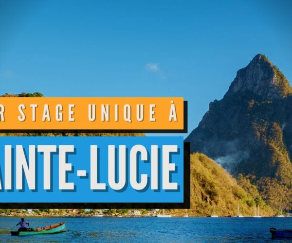 STAGE DES BAC PRO MCV A SAINTE LUCIE