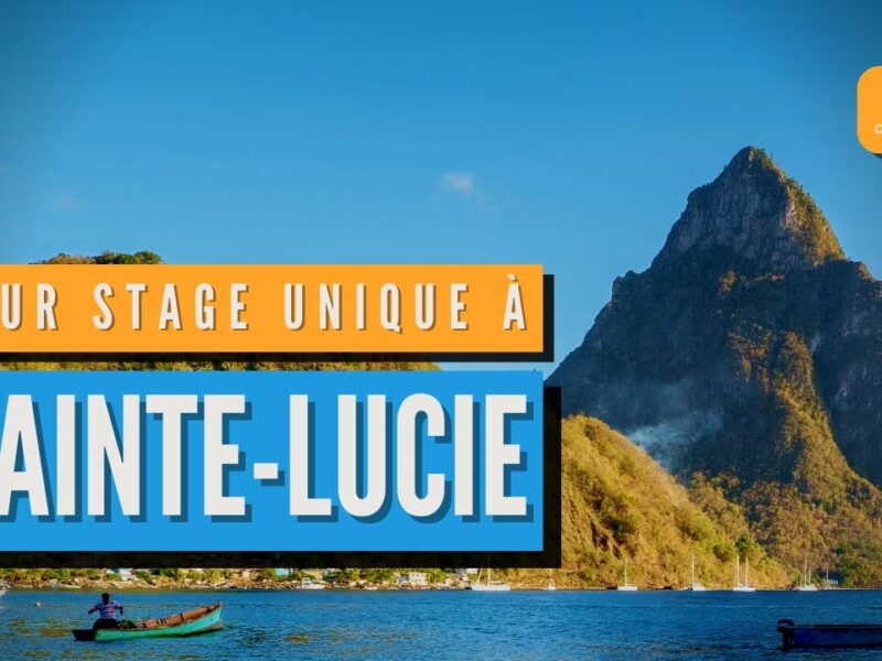 STAGE DES BAC PRO MCV A SAINTE LUCIE